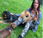 Lillers - Pas-de-Calais — pension familliale pour animaux chiens chats oiseaux