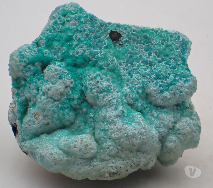 Collection Meurthe-et-Moselle Bertrichamps - 54120 - Photos Vivastreet Smithsonite , Mine Kipushi , Katanga , R.D du Congo .