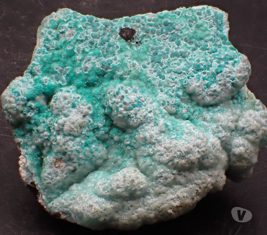 Collection Meurthe-et-Moselle Bertrichamps - 54120 - Photos Vivastreet Smithsonite , Mine Kipushi , Katanga , R.D du Congo .