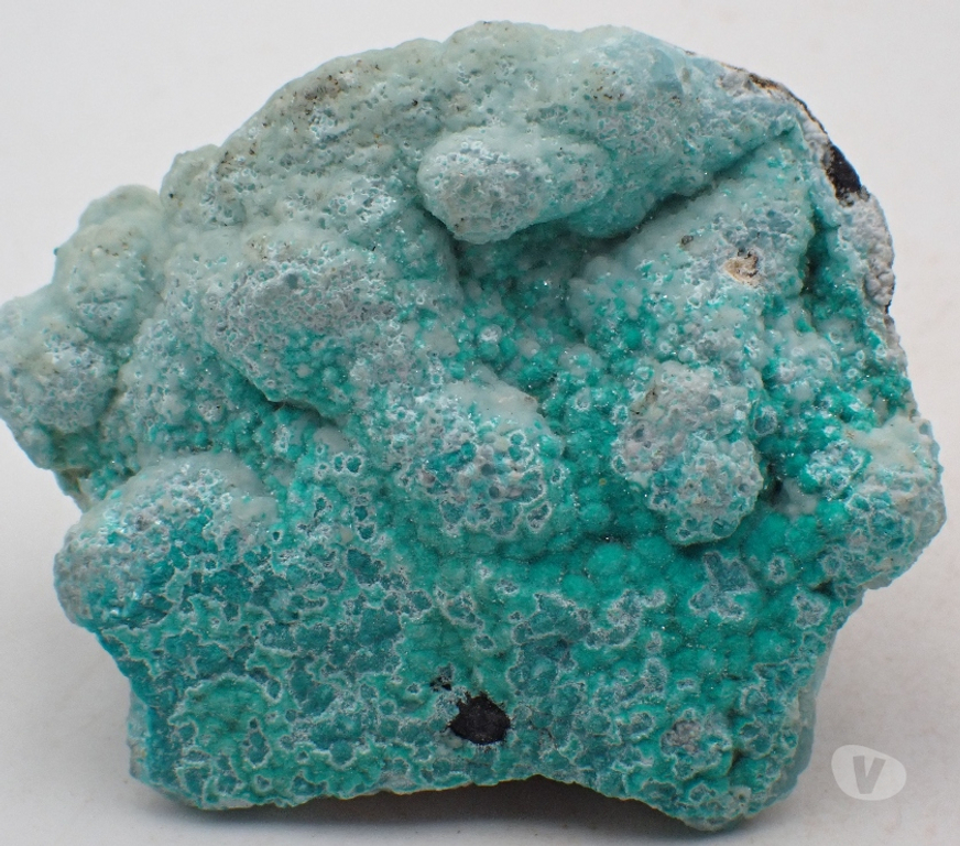 Collection Meurthe-et-Moselle Bertrichamps - 54120 - Photos Vivastreet Smithsonite , Mine Kipushi , Katanga , R.D du Congo .