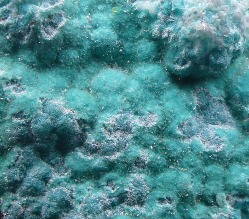 Collection Meurthe-et-Moselle Bertrichamps - 54120 - Photos Vivastreet Smithsonite , Mine Kipushi , Katanga , R.D du Congo .