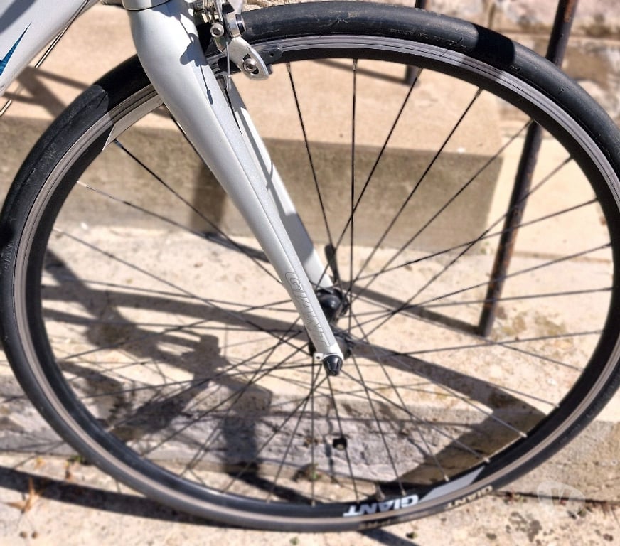 Matériel de sport Cher St Pierre les Etieux - 18210 - Photos Vivastreet Vélo de course Giant AluXX SL6000, équipé de tubes butted