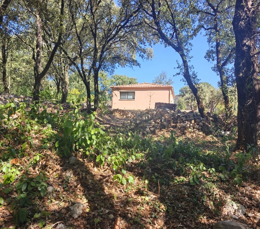 Vente Maison Gard St Privat des Vieux - 30340 - Photos Vivastreet Maison plain pied, grand terrain, potentiel d'agrandissement