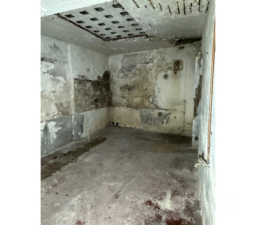Vente Parking Val-de-Marne Vincennes - 94300 - Photos Vivastreet Grande cave de 32,68 m² - Vincennes