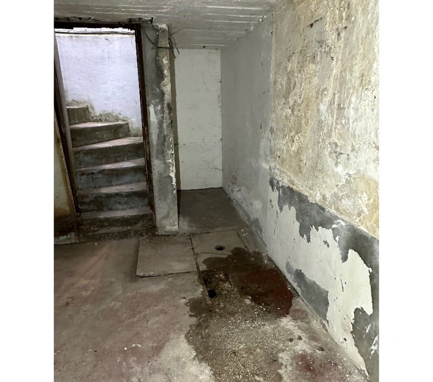 Vente Parking Val-de-Marne Vincennes - 94300 - Photos Vivastreet Grande cave de 32,68 m² - Vincennes