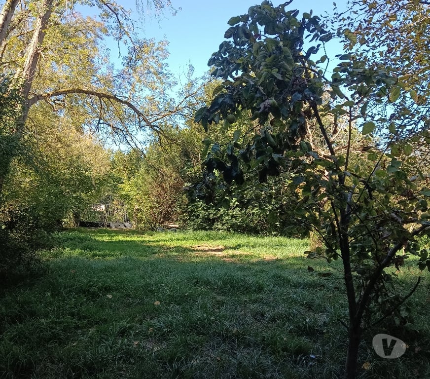 Terrain à vendre Charente Gond Pontouvre - 16160 - Photos Vivastreet Joli terrain de loisir arboré proche commerce bord Charente
