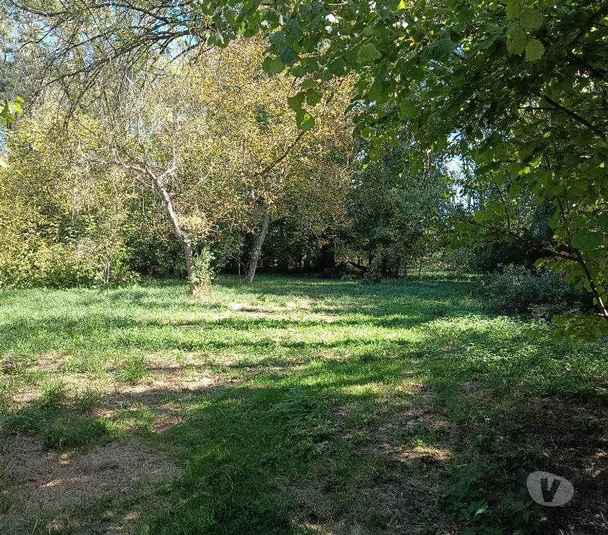 Terrain à vendre Charente Gond Pontouvre - 16160 - Photos Vivastreet Joli terrain de loisir arboré proche commerce bord Charente