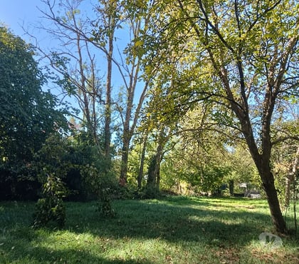Terrain à vendre Gond Pontouvre Charente - Photos Vivastreet Joli terrain de loisir arboré proche commerce bord Charente
