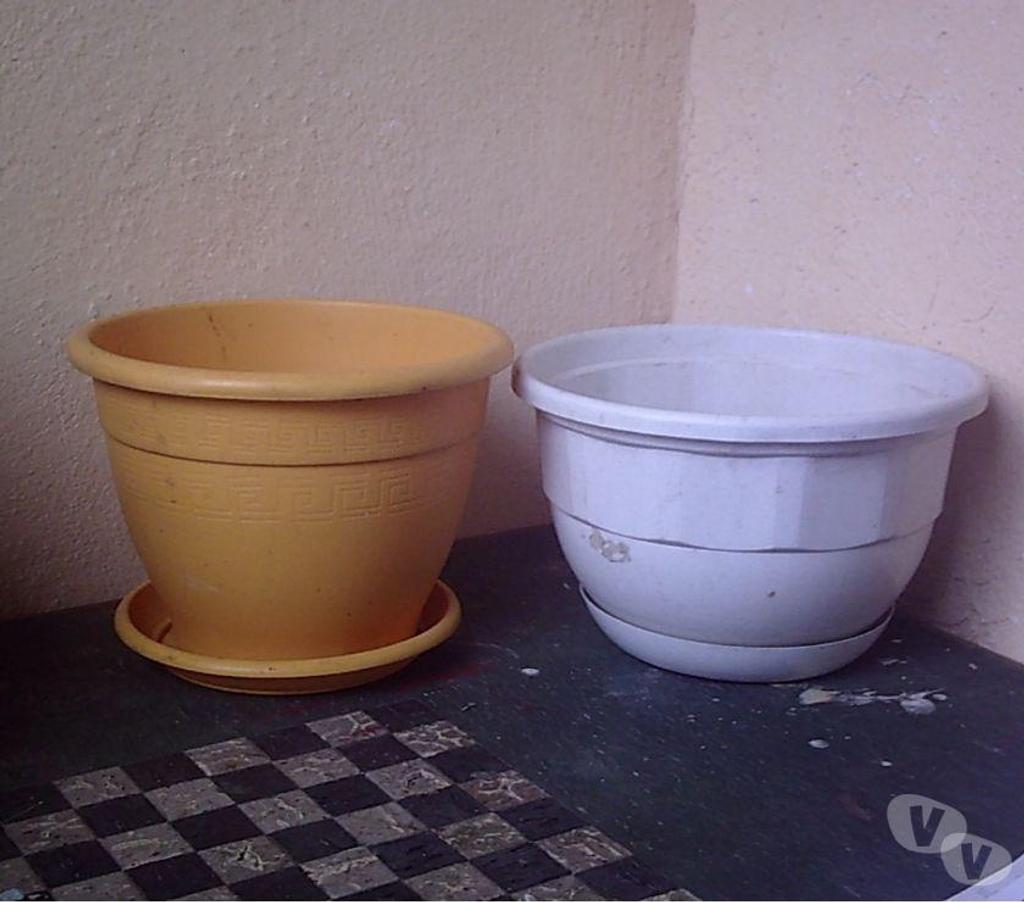  Bas-Rhin Bouxwiller - 67330 - Photos Vivastreet Jardinières et Pots de Fleurs en plastique
