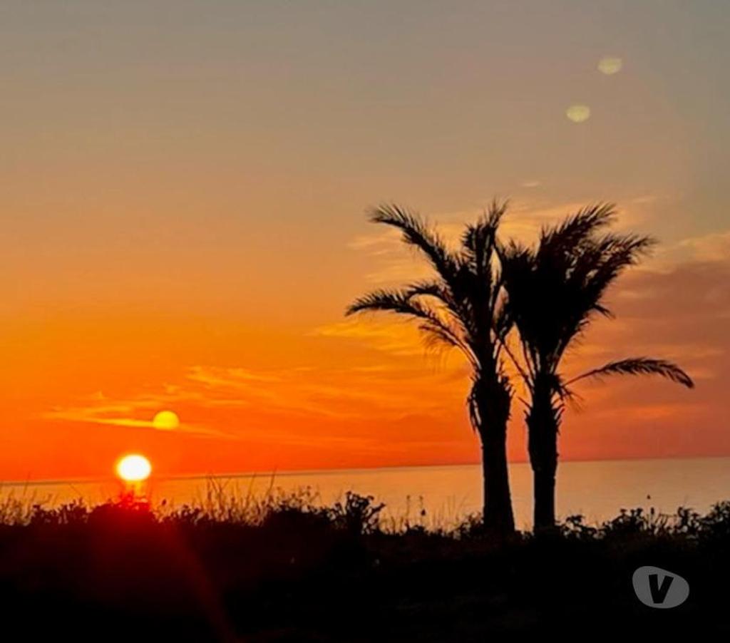 location saisonniere Pyrénées-Orientales Le Barcares - 66420 - Photos Vivastreet VACANCES Pieds dans l'Eau !!!...