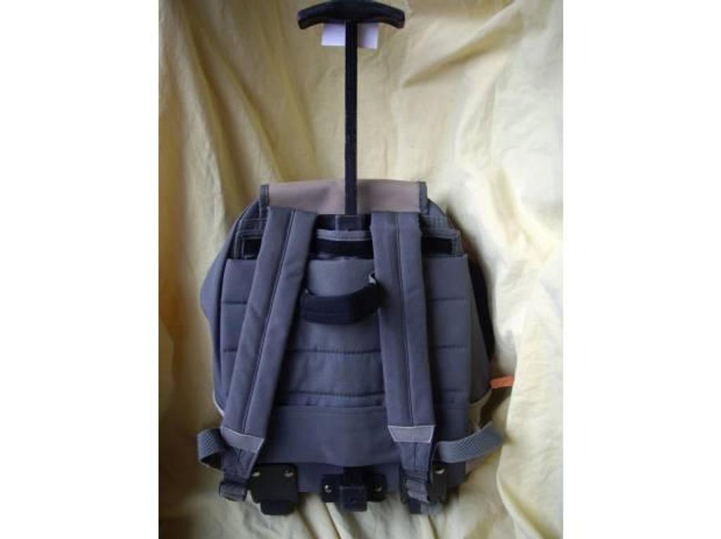 Accessoires - Bagagerie Bas-Rhin Bouxwiller - 67330 - Photos Vivastreet Divers Cartables d'Ecole à 0,50 €