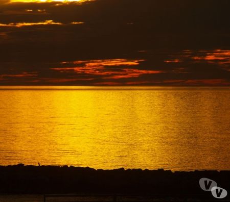 location saisonniere Pyrénées-Orientales Le Barcares - 66420 - Photos Vivastreet VACANCES Pieds dans l'Eau - PARKING - WIFI...