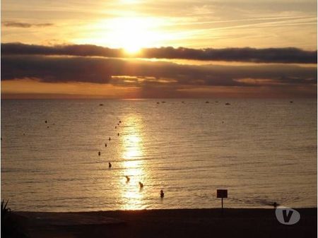 location saisonniere Pyrénées-Orientales Le Barcares - 66420 - Photos Vivastreet APPARTEMENTS**** pour 1 à 4 - IL RESTE DISPOS et SOLEIL !