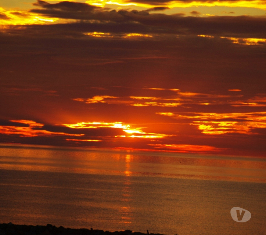 location saisonniere Pyrénées-Orientales Le Barcares - 66420 - Photos Vivastreet APPARTEMENTS pour 1 à 4 - IL RESTE DISPOS et SOLEIL !