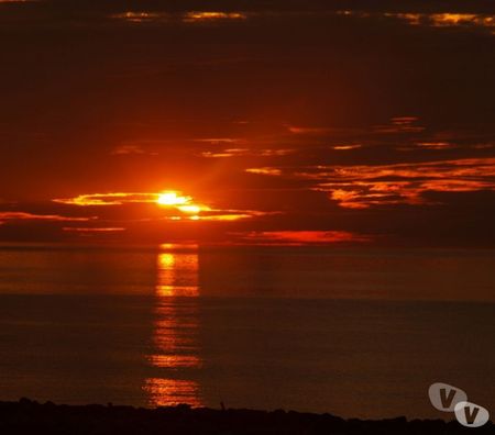 location saisonniere Pyrénées-Orientales Le Barcares - 66420 - Photos Vivastreet T3**** ou STUDIOS en FRONT de MER