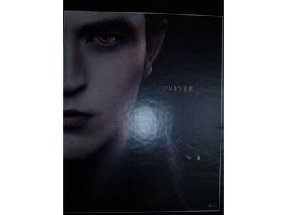 Décoration - art Feves Moselle - Photos Vivastreet poster twilight film ciné déco cullen edward vampire bella l