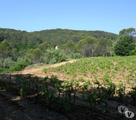 location saisonniere Var Lorgues - 83510 - Photos Vivastreet Provence Maison de vacances avec piscine privée