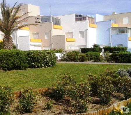 location saisonniere Pyrénées-Orientales Le Barcares - 66420 - Photos Vivastreet LOUE APPARTS*** 1 à 4 pers. FACE MER