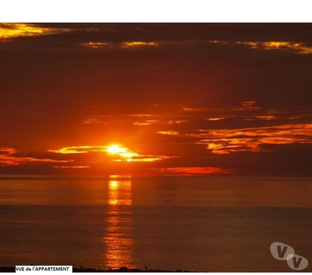 location saisonniere Pyrénées-Orientales Le Barcares - 66420 - Photos Vivastreet VACANCES FACE à la MER - 1 à 4 pers.- PARKING - WIFI