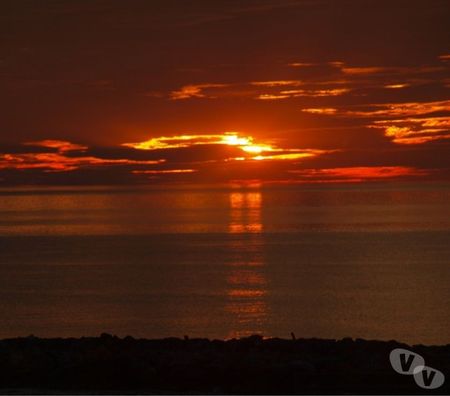 location saisonniere Pyrénées-Orientales Le Barcares - 66420 - Photos Vivastreet VACANCES FACE à la MER - 1 à 4 pers.- PARKING - WIFI