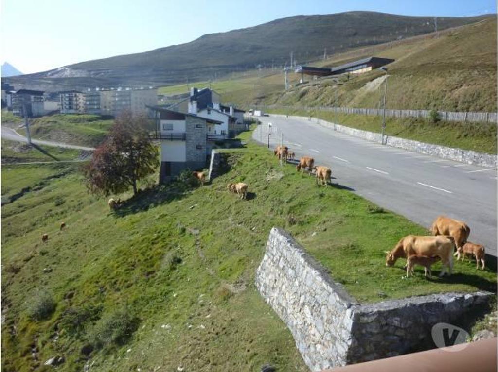 location saisonniere Hautes-Pyrénées St Lary Soulan - 65170 - Photos Vivastreet Appartement centre SAINT LARY, magnifiques vues des 2 côtés