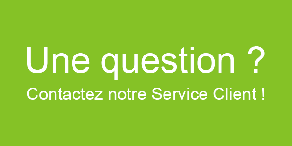 elu service client 2017