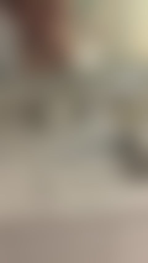 Escorts Cheshire West and Chester Chester - Cheshire West and Chester - 