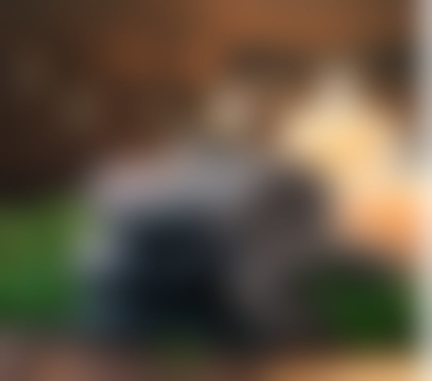 Escort Stapleford Broxtowe - Photos for Ya Ya Thai Massage