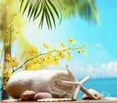 Full Body Massage - Traditional Chinese Massage