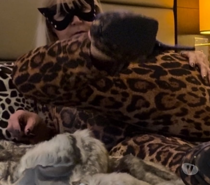 Escorts Kent Medway - Kent - Photos for SEXY BLONDE BABE MEDWAY KENT 07860 665661