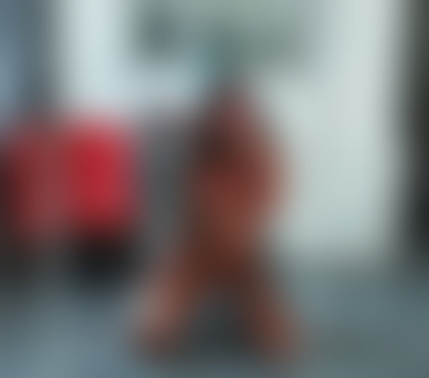 Escorts Preston Preston - Photos for 🇬🇧Jordan Ferrari🇬🇧 Trans! PR17UD incalls & video