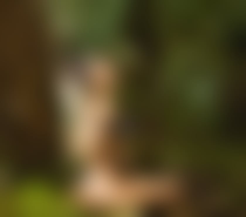 Escort Colindale North West London - Photos for 🍓 😍💕⭐ADELLINA SERVICE in TOWN!Colindale🍓