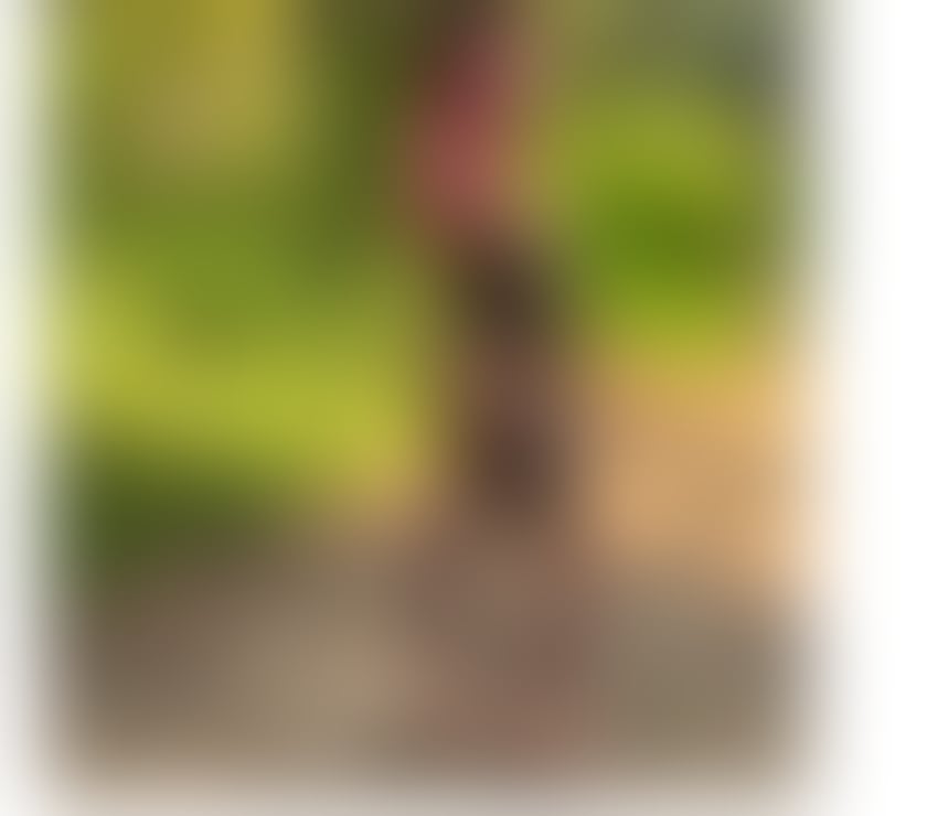 Escorts Devon Torbay - Photos for HELLO GENTS*I AM VANESSA*BEST ESCORT IN TOWN*07799753855