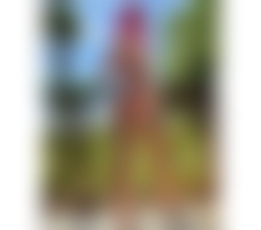 Escorts Devon Torbay - Photos for HELLO GENTS*I AM VANESSA*BEST ESCORT IN TOWN*07799753855