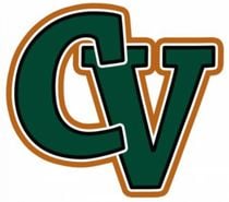 Professional CV Writing Service. Open 7 days a week.