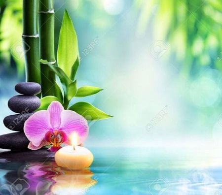 Full body massage South Ayrshire Ayr Central - South Ayrshire - Photos for NEW MASSEUSE ON TOUR!🍓