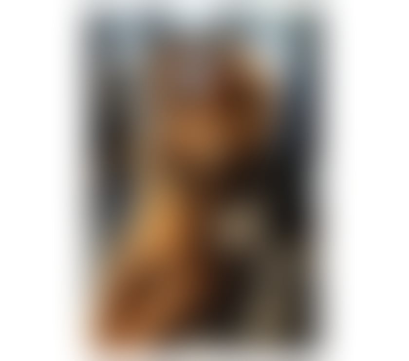 Escorts Buckinghamshire Aylesbury - Buckinghamshire - Photos for Star ⭐️ Sexy Latina 💋 Party Girl 🥂