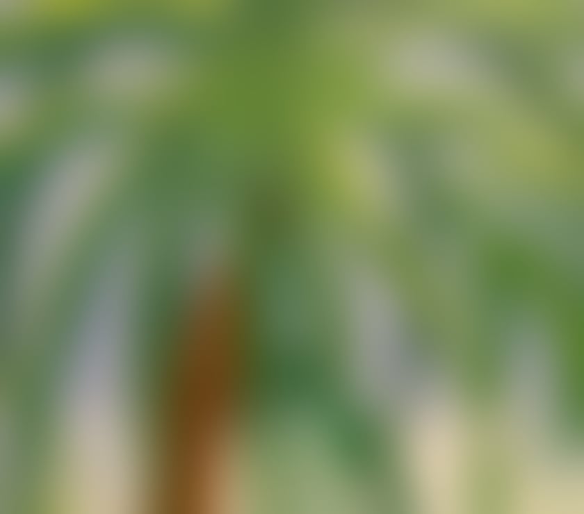 Escorts and Massages Upton Park East London - Photos for Professional massage in East London