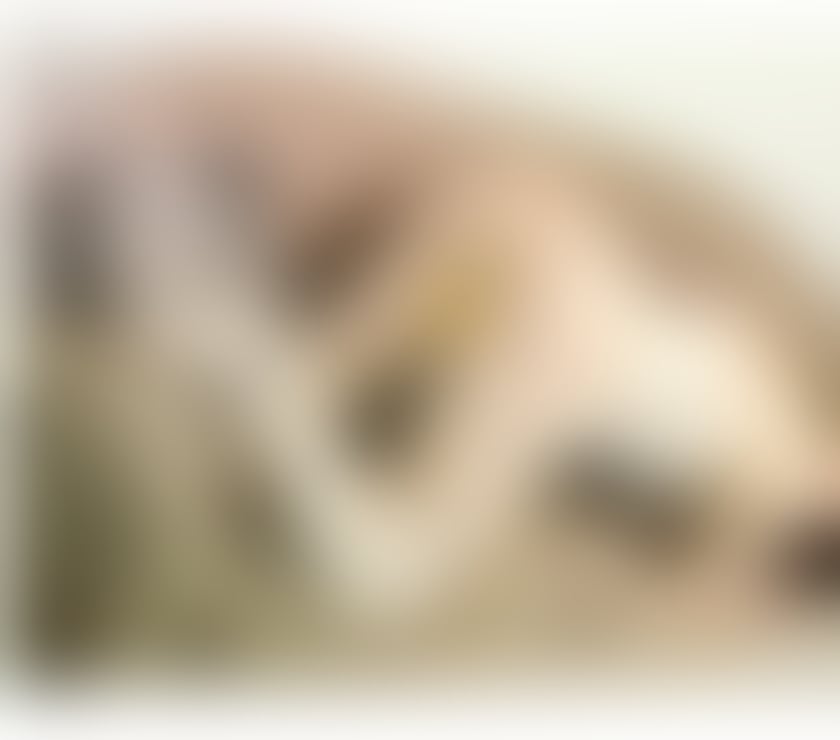 Trans Escorts Brent Wembley - Brent - Photos for Playful & Passionate Tgirl – Come Unwind with Me