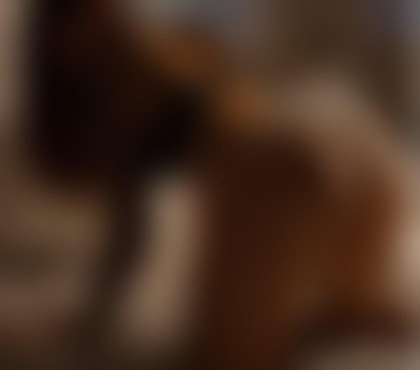 Escorts Barnet High Barnet - Barnet - Photos for 💕Ukrainian hotties 💕