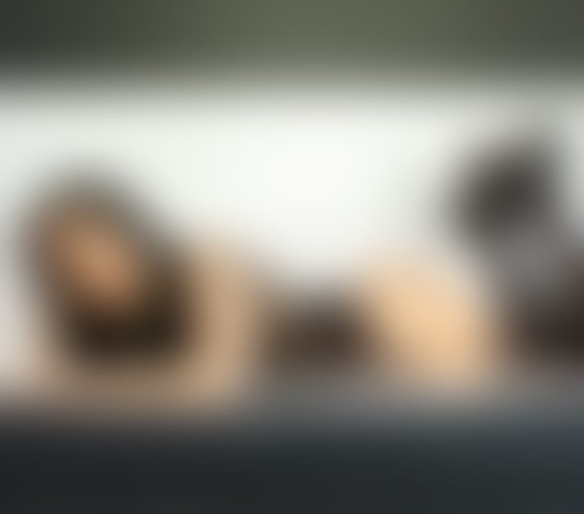 Escorts West Yorkshire Leeds - Photos for TGIRL POST-OP CURVY PETITE FULL SERVICE-ENJOY-TOYS STRAPON