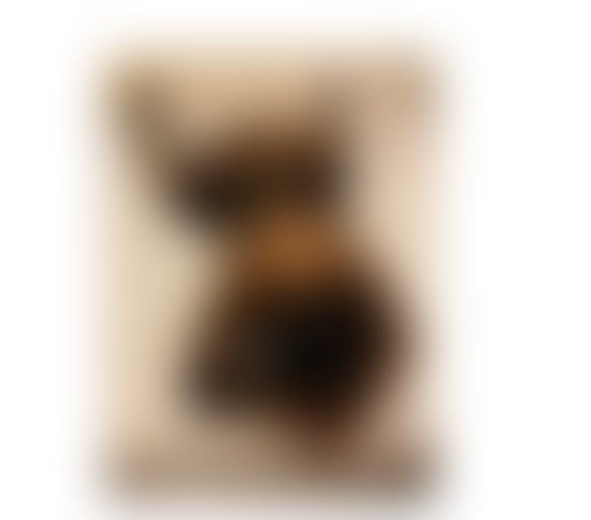 Escorts South East London Blackheath Royal Standard - South East London - Photos for CURVY, BLACK SARAH AVAILABLE IN LONDON BLACKHEATH!