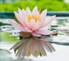 Relaxing Thai massage By Nadia