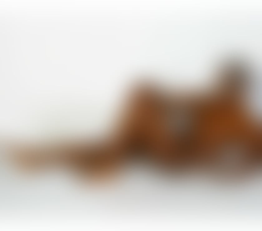  Gay massage Aberdeen Torry - Aberdeen - Photos for MON 3RD NOV HUNG BLACK GUY AVAILABLE IN ABERDEEN