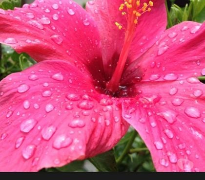 Full body massage Bournemouth Bournemouth, Christchurch and Poole - Photos for Lovely Trans Offering Relaxing Massage 07399309660