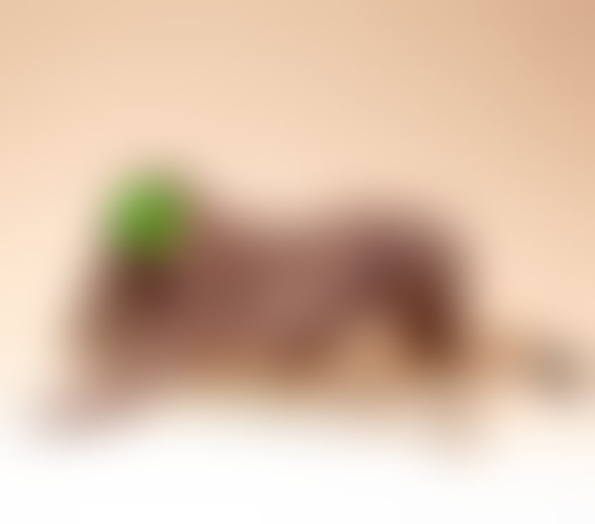 Escorts West Yorkshire Wakefield - Photos for JUICY!!CHOCOLATE !!! MASSAGE THERAPIST AND EXTRA…