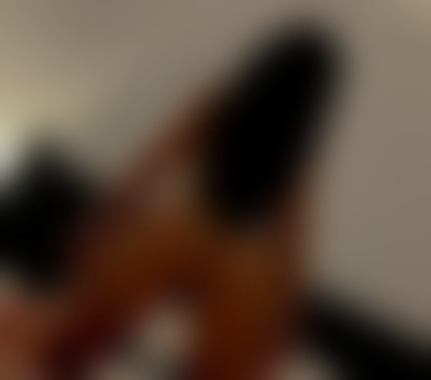 Escorts Newport - Wales Newport City Centre - Newport - Photos for I’m back in towns Leyla party girl’s outcall