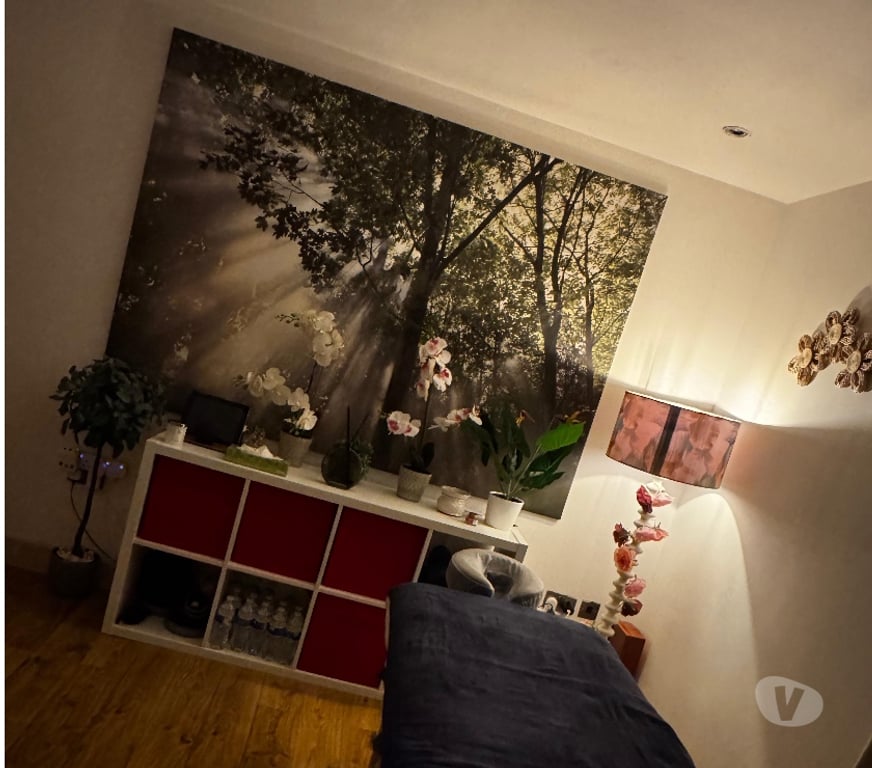 Escorts South Yorkshire Sheffield - Photos for Relaxing massage 10am to 9pm loyalty card available