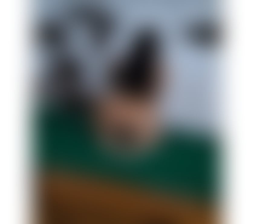 Escorts North London Tottenham - North London - Photos for ZOZO GOOD EXPERIENCE 🔥💋FULL SERVICE