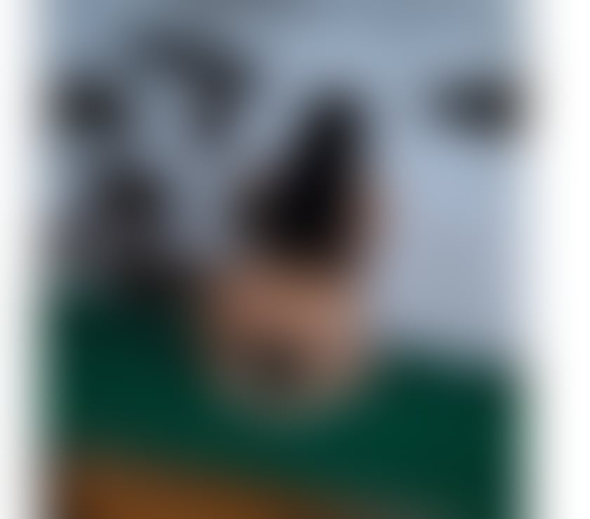 Escorts North London Seven Sisters - North London - Photos for ZOZO PARTY GIRL FULL SERVICE IN BRUCE GROVE